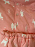 童泰秋冬婴儿衣服对开棉立领套装0-3岁宝宝棉服 粉色 80cm 实拍图
