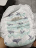 碧芭宝贝盛夏光年拉拉裤XXXL26片(18kg以上)加大尿不湿 超薄超柔超薄柔软 实拍图
