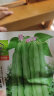 花翁 红花四季豆角种子10克/袋约60粒 无筋菜豆角农家蔬菜种厂商封装 实拍图