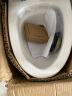 高好（GOHO）德国品牌马桶大冲力静音防臭虹吸式坐便器大排污座厕家用抽水马桶 GH960现代白300/400/250/350抗菌 实拍图