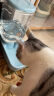 汤琪（TANGQI）宠物猫咪自动饮水机喂食器猫饮水器狗狗碗猫粮桶猫食盆猫用品 天空蓝 3.8L喂食器+3.8L喂水器 晒单实拍图