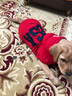 楚克奇（CHUKCHI）大狗衣服边牧金毛中大型犬冬装狗棉衣马犬马甲背心连帽两腿喜庆 红色 28号颈围50CM*胸围68CM*背长55CM 实拍图