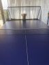 速智（Suz）S102乒乓球发球机单人自动专业发球器家用便携训练器多旋转多落点 s102主机+无线遥控+集球网+100球 实拍图