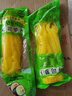盛源来 寿司萝卜200g*2袋 寿司常用切条萝卜金大根韩国寿司材料黄萝卜条 实拍图