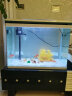 长锐生态小鱼缸小型水族箱客厅桌面免换水金鱼缸 M560标配 晒单实拍图