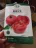寿禾 粉果番茄种子老品种西红柿大果寿光蔬菜粉冠毛粉秋冬季洋柿子 粉冠番茄苗 24棵 实拍图
