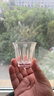 曼薇钢化啤酒杯套装创意玻璃杯二两玻璃小酒杯洋酒杯子网红威士忌酒杯 100ml钢化啤酒杯6只 实拍图