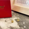 中国黄金（CHINA GOLD）【小雪花】黄金耳钉女士小众首饰足金耳饰生日礼物七夕送老婆女友 【玫瑰礼盒】雪花耳钉【一对】 约0.7g 实拍图