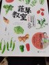 蔬菜教室：春夏+秋冬（套装共2册） 实拍图