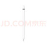 Apple Pencil (第一代) 含USB-C转换器 适用iPad mini5/iPad Air3/iPad 10.2英寸(第九/十代) 实拍图