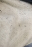 金菊厚款绵羊毛衫女冬季新款点子纱无缝打底圆领休闲女式毛衣 盐白 S  实拍图