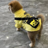 阿莫尔小狗狗衣服春夏薄款网红背包搞笑泰迪猫咪宠物小型犬幼犬夏季服饰 宠团外卖【带背包】 L 建议8-10斤 背长30cm 实拍图