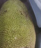 海南黄肉菠萝蜜 热带新鲜水果波罗蜜生鲜 黄肉菠萝蜜30-35斤 晒单实拍图