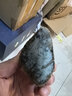 缅甸翡翠原石毛料公斤料蒙包料练手料手镯料冰种色料开窗料莫弯基 翡翠原石单个261克至380克【买5个+1个】 实拍图