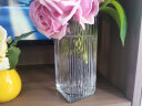 墨斗鱼玻璃花瓶北欧简约玫瑰百合客厅茶几家居餐厅装饰花器条纹方缸8488 实拍图