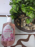 【鲜花SPA】花瓣香氛沐浴露男女通用香味持久香水型保湿沐浴乳 樱花花瓣香氛沐浴露500ml 实拍图