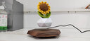 HCNT女朋友生日520礼物办公室摆件磁悬浮盆栽家居饰品桌面创意花盆 深色盆栽（赠送纺织花向日葵） 实拍图