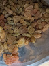 享鲜人 绿葡萄干无核新疆特产果脯果干袋装蜜饯即食黑加仑休闲零食 绿葡萄干 500g*1袋 实拍图