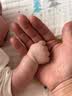 全棉时代孕妇月子服孕妇装哺乳喂奶风柔棉秋衣秋裤套装 白160 实拍图