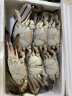 鱻谣 梭子蟹1300g/5-6只整蟹 4-6两/只 当季液氮冷冻吕四黄海海螃蟹新鲜 生鲜蟹类 实拍图