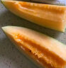 新疆黄皮哈密瓜 1粒装 单果1.75Kg以上 甜瓜 新鲜水果 实拍图