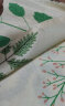 雅鹿·自由自在 全棉床单单件 100%纯棉被单床罩单件 床垫保护罩 230*250cm松香迷情 实拍图