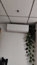 格力空调挂机大1匹/1.5匹云佳【巨省电】新一级能效/三级 节能家用卧室变频冷暖除湿壁挂式 大1匹 一级能效 【京仓发货】 云佳高性价比款 实拍图