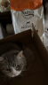 美士（Nutro）猫粮进口成猫粮干粮高蛋白宠物猫粮鸡肉猫粮14磅6.35kg 实拍图