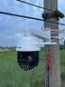 普联（TP-LINK） 双频5G WiFi监控摄像头 鱼塘工地家用360度全景室外防水防雷手机远程网络高清网络红外球机监控器 TL-IPC5420X三目变焦无线版【标准版】 标配（不含内存卡） 20倍 实拍图