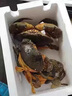 【活鲜】嗨码头三门青蟹特大公蟹菜鲟 红母膏蟹肉蟹猷蠓海鲜礼盒 400g 尝鲜大公蟹（8两-1斤）1只 实拍图