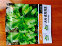 播种心情 家庭种植蔬菜种子孑籽大全四季播种阳台盆栽农家庭院小菜园有机 大叶茼蒿种子2包 实拍图