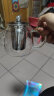 忆壶茶（YI HU TEA）茶壶玻璃泡茶壶耐高温煮茶壶加厚烧水茶具带过滤茶水壶杯子大容量 时光壶单壶900ml 实拍图