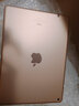 Apple二手苹果平板ipad ipad10 ipad9 2021款 2020/2019/2018 ipad9 64G wifi 送快充 99新 实拍图