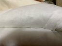 博洋宝贝（Beyond Kids）儿童全棉印花套件纯棉被套单件套男孩女孩卡通宿舍被套床上用品 全棉被套单件套—恐龙森林 200cm*230cm 实拍图