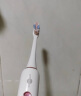 博皓（prooral）电动牙刷头 2711【儿童款T29适用】 实拍图