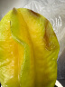 舌香夫人 漳州甜杨桃4.5斤五角星水果新鲜当天采摘树上熟时令应季热带水果 4.5斤6-10个杨桃 实拍图