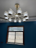 雷士（NVC） 吊灯轻奢欧式美式吊灯瓷白烤漆客厅灯餐厅灯灯具灯饰10头 晒单实拍图
