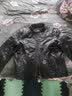 PERCOOL哈雷机车服真皮皮衣青年男头层纯牛皮骑行皮夹克潮流摩托车服外套 黑色 (头层牛皮) 4XL （180斤-195斤） 实拍图