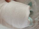 海澜之家（HLA）7A抗菌宿舍被子冬天棉被春秋被子被芯冬被超柔磨毛面料大豆纤维被 【7A抑菌 超柔抗菌】白色-青边 【厚冬被】180*220cm/约8.0斤 实拍图