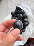 云南夏黑葡萄新鲜2024应当季无籽葡萄黑加仑提子孕妇水果整箱 5斤(单果10g+) 实拍图