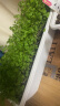 原起点长方形霍伦种菜盆60cm特大种花盆阳台种菜神器长条蔬菜草莓种植盆 种植套装【新手款】 实拍图