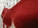 欧迪芬内衣女无钢圈文胸聚拢性感收副乳透气上薄下厚显大蕾丝胸罩XB1501 实拍图