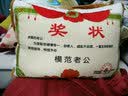 婴果小岛父亲节礼物送爸爸妈妈的生日礼物实用抱枕被子靠垫适合给老婆父亲 送女友【大号抱枕】 实拍图
