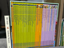 送音频 我的第一个图书馆 My First Reading Library 50册正版礼盒装 Usborne尤斯伯恩英文原版绘本分级读物英语初级章节书 绿山墙 实拍图