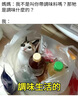 PEJAFAN大号雨伞男双层加厚加固结实抗风商务自动长柄伞双人伞晴雨两用伞 飓风抗风伞-110CM中号单层黑色 实拍图