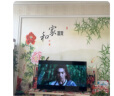 Leader海尔智家出品 L55F5 55英寸4K超高清电视120Hz 2+32GB护眼平板电视机液晶智慧屏以旧换新 实拍图