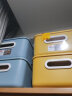 禧天龙简约内衣收纳盒化妆品零食玩具杂物储物箱药箱 大号1个装亮丽黄 实拍图