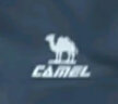 骆驼（CAMEL）运动套装女立领长袖两件套休闲运动服 7C2226L5463 华芙紫 XL 晒单实拍图