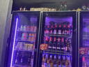 华尔（Huaer）饮料冷藏柜超市水果保鲜柜蛋糕展示柜酒吧商用冰箱立式啤酒柜便利店展示柜冷藏留样柜 【尊享版】小三门(丹佛斯压缩机) 实拍图