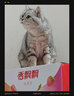 华元宠具（hoopet）宠物航空箱狗狗大号笼子外出车载狗窝猫笼猫背包外出猫咪航空箱 【普通款】黑色款 一号箱（建议12斤以下犬猫） 实拍图